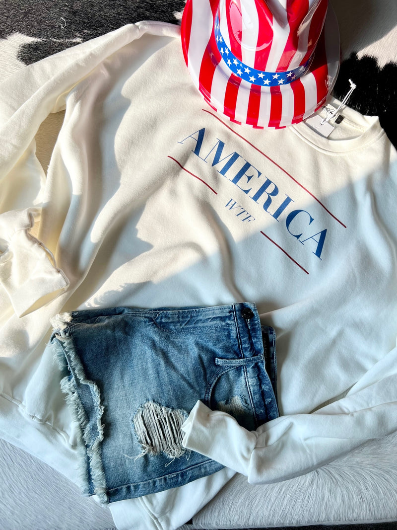 AMERICA WTF JUMPER